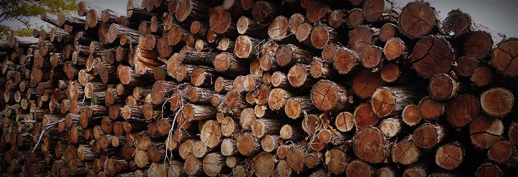 Reserve of wood in piles