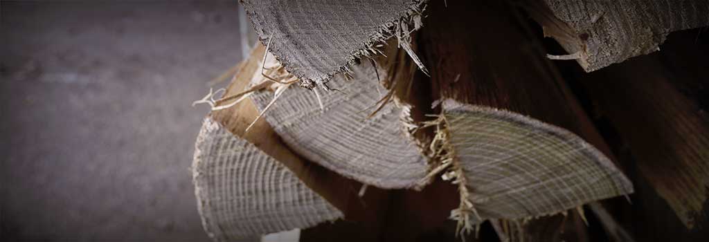 Close up on acacia in production