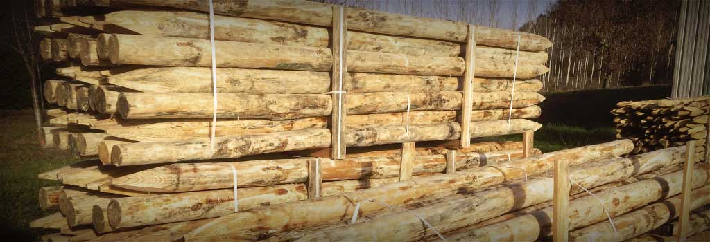 Package of logs in acacia