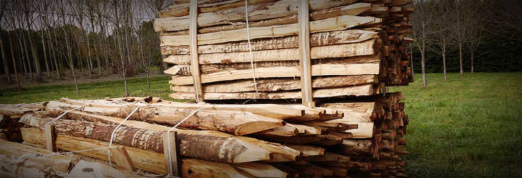 Parcel of logs in acacia close to be shipped
